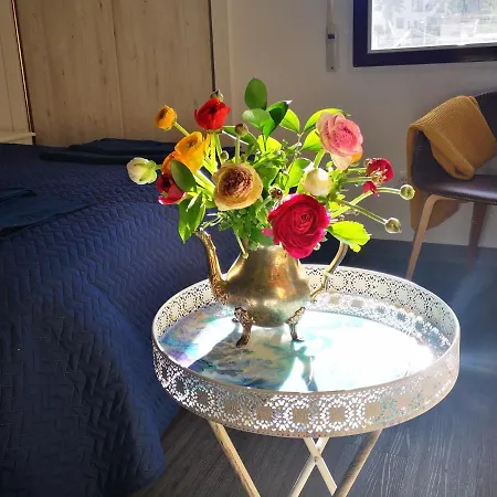 Sunny La Mata Apartment